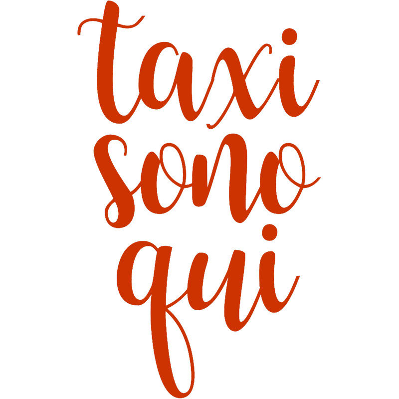 jersey shore - taxi sono qui.png