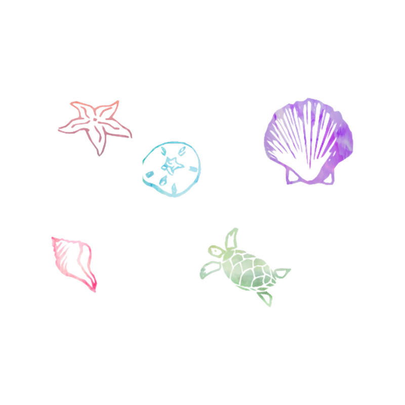 Seashells by the Seashore.png