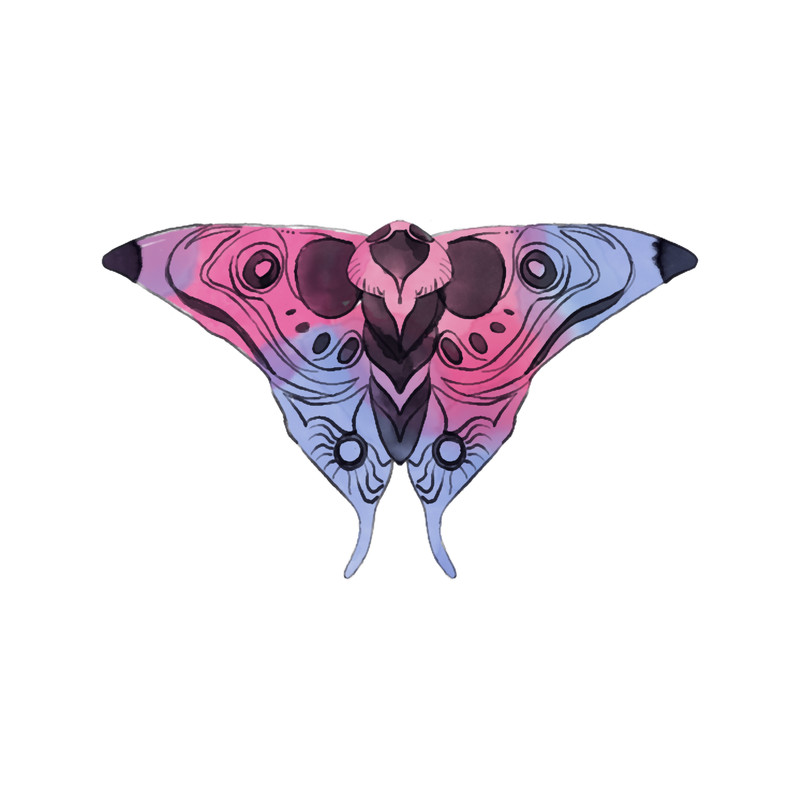 The Last of Us Bi Pride Moth .png