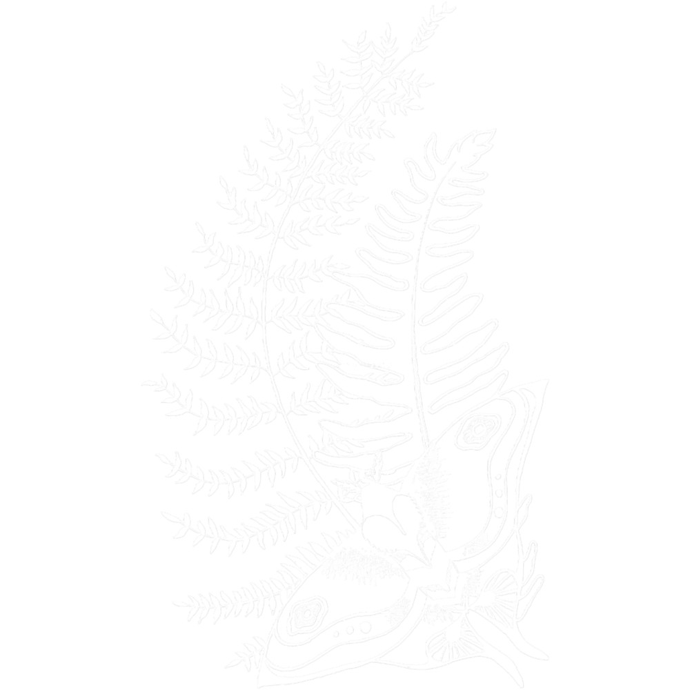 The Last of Us Ellie Tattoo inspired - White V2 .png