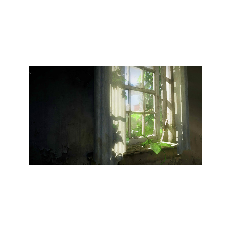 The Last of Us Opening Window with Vine Long .png