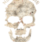 The Goonies Skull Map.png