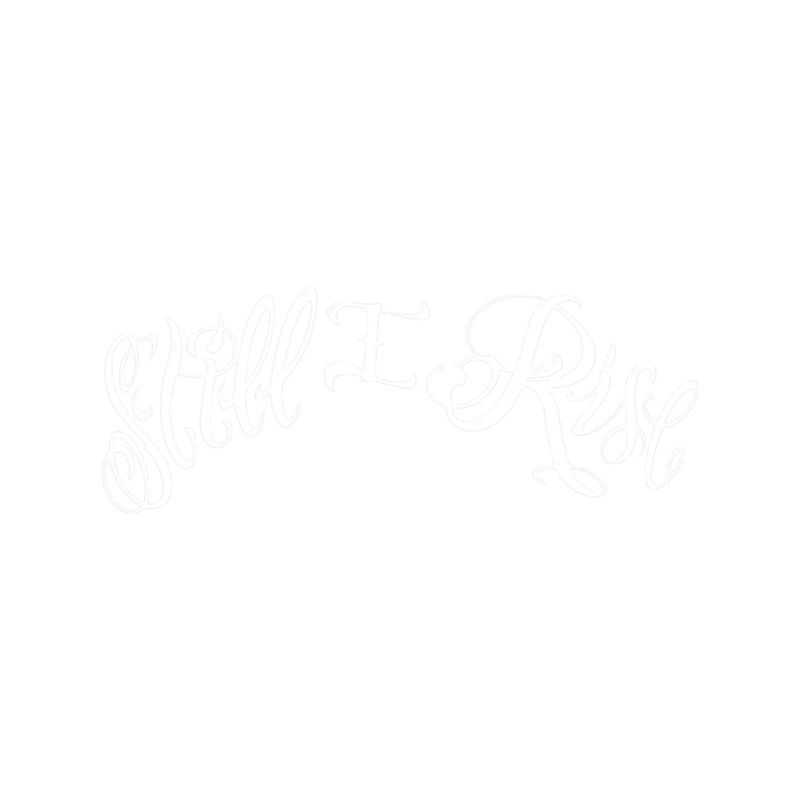 Lewis Hamilton F1 Still I Rise.png