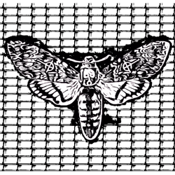 ghost band death moth crucifix