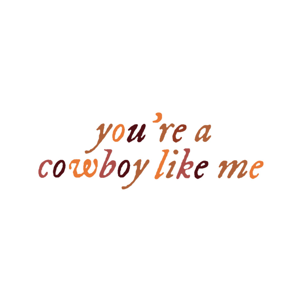 you_re a cowboy like me- taylor swift.png