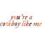 you_re a cowboy like me- taylor swift.png
