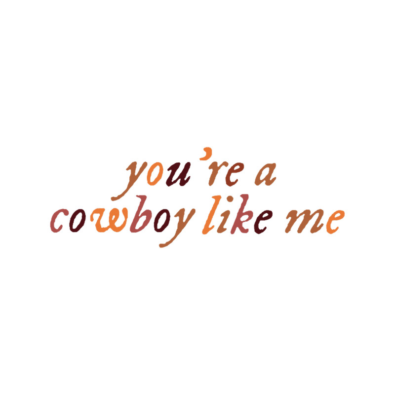 you_re a cowboy like me- taylor swift.png