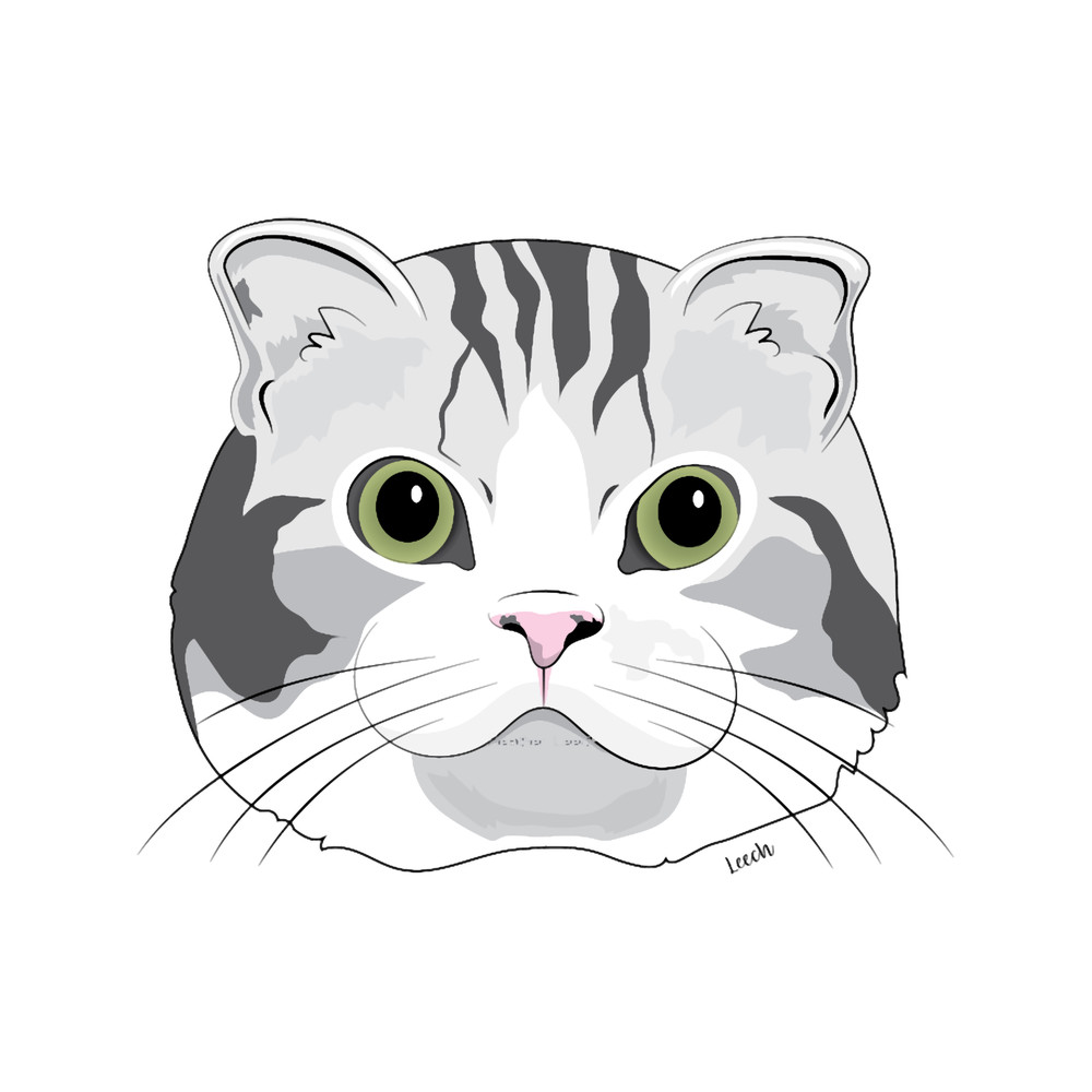 Purrfect.png