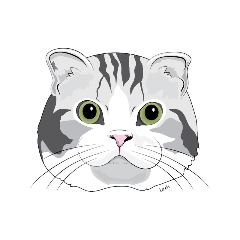 Purrfect.png