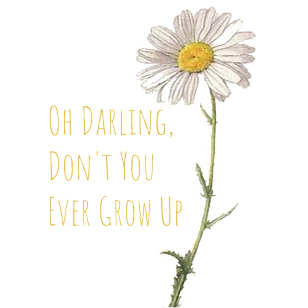 Taylor Swift (1).png