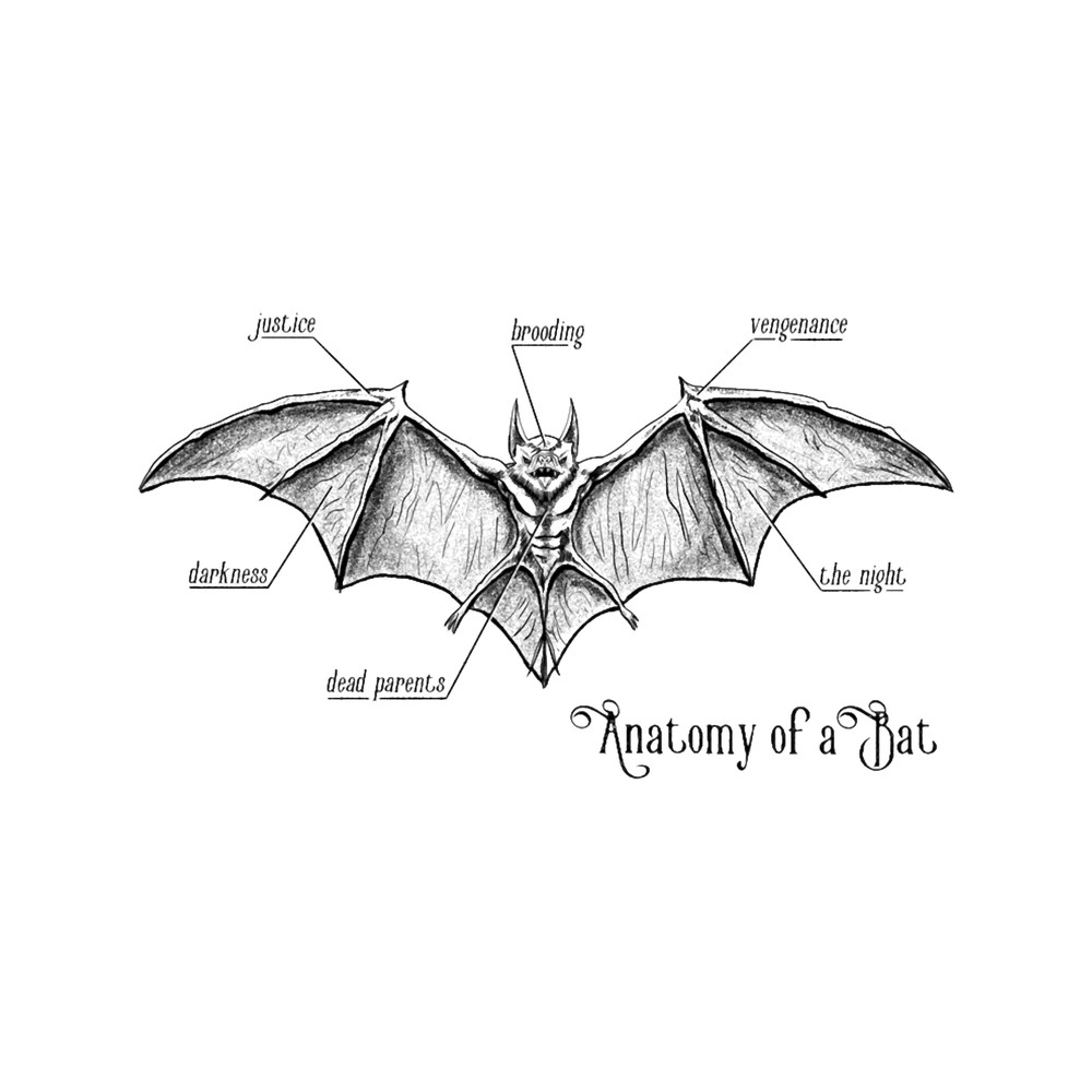 Anatomy of a Bat .png