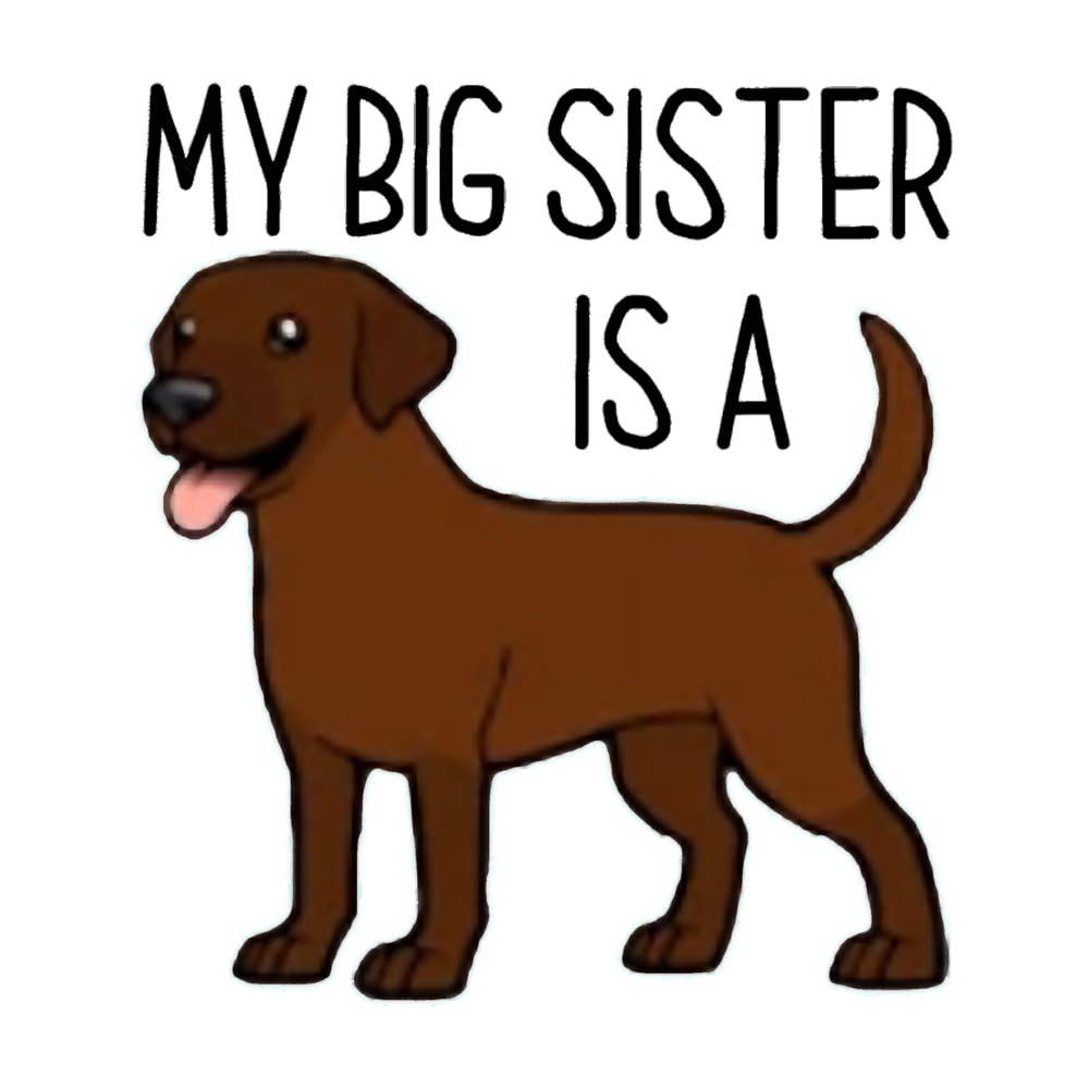 My Big Sister is a Chocolate Labrador Active .png