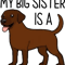 My Big Sister is a Chocolate Labrador Active .png
