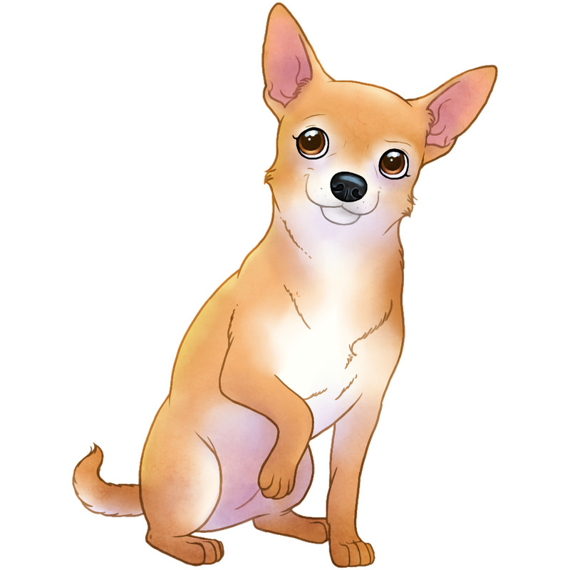 Chihuahua .png