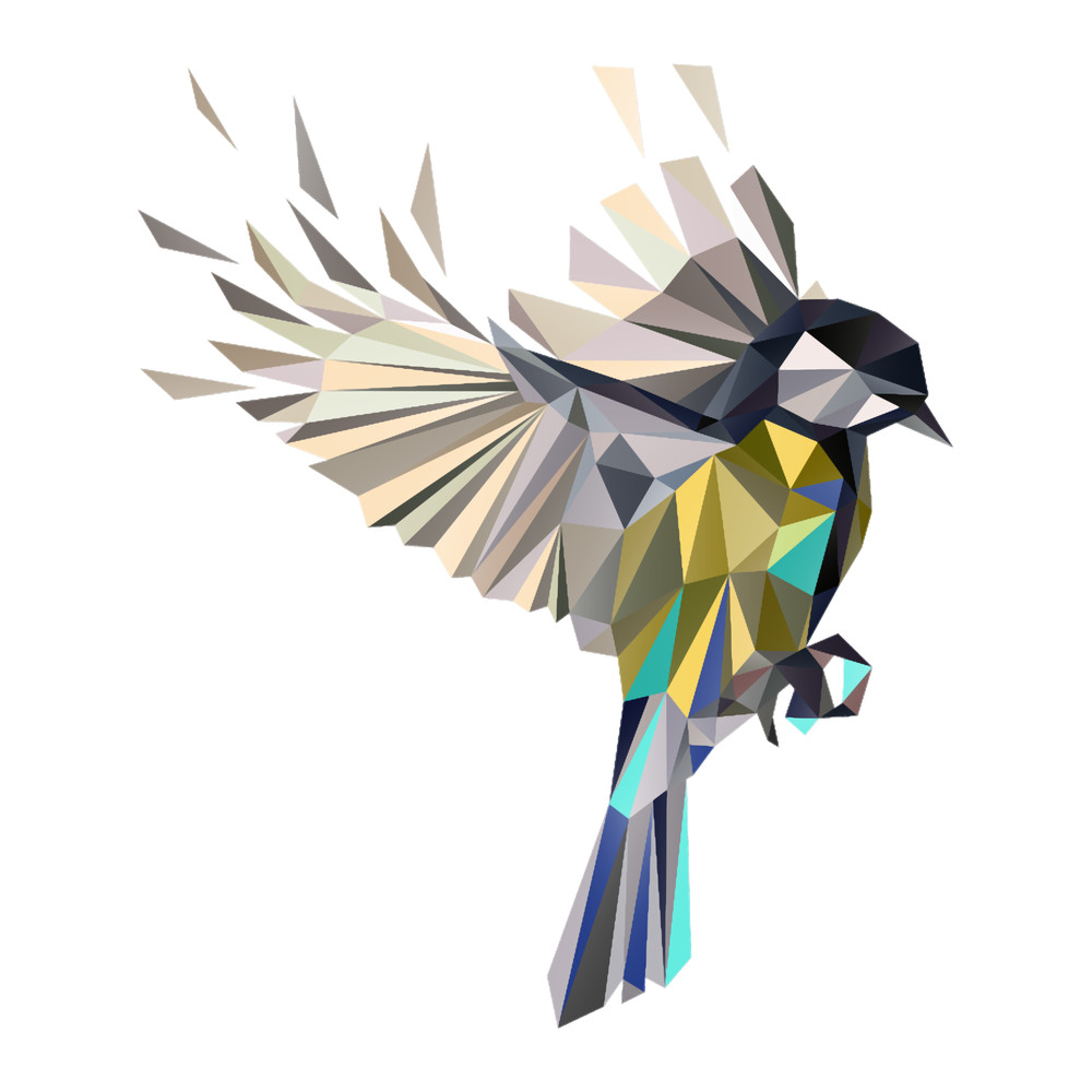 Flying Songbird Cyanistes CaeruleusBluetit Bird - white .png