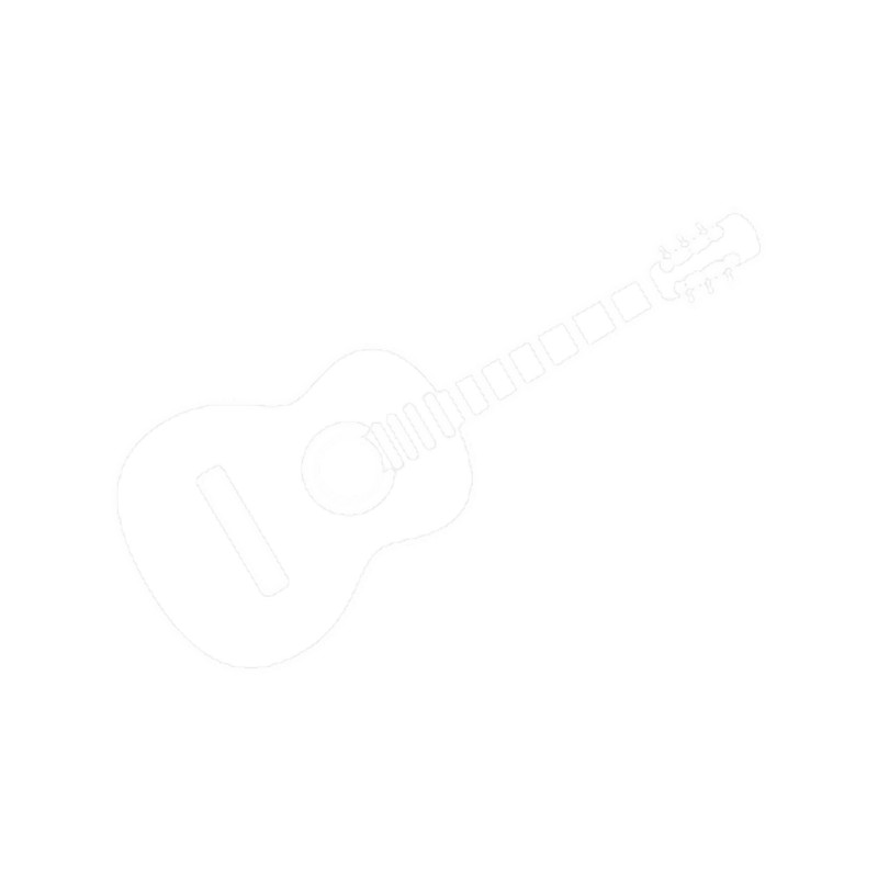 Small acoustic guitar .png