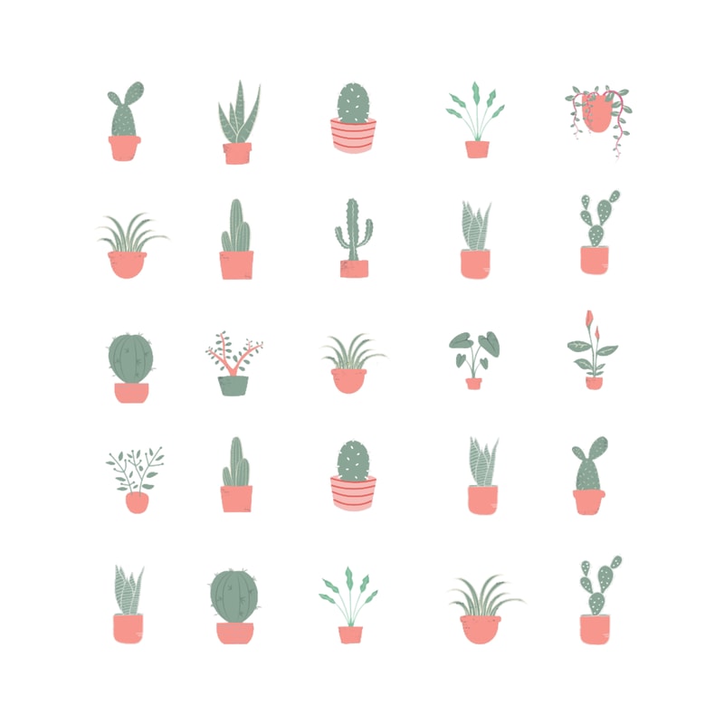tiny different cactus.png