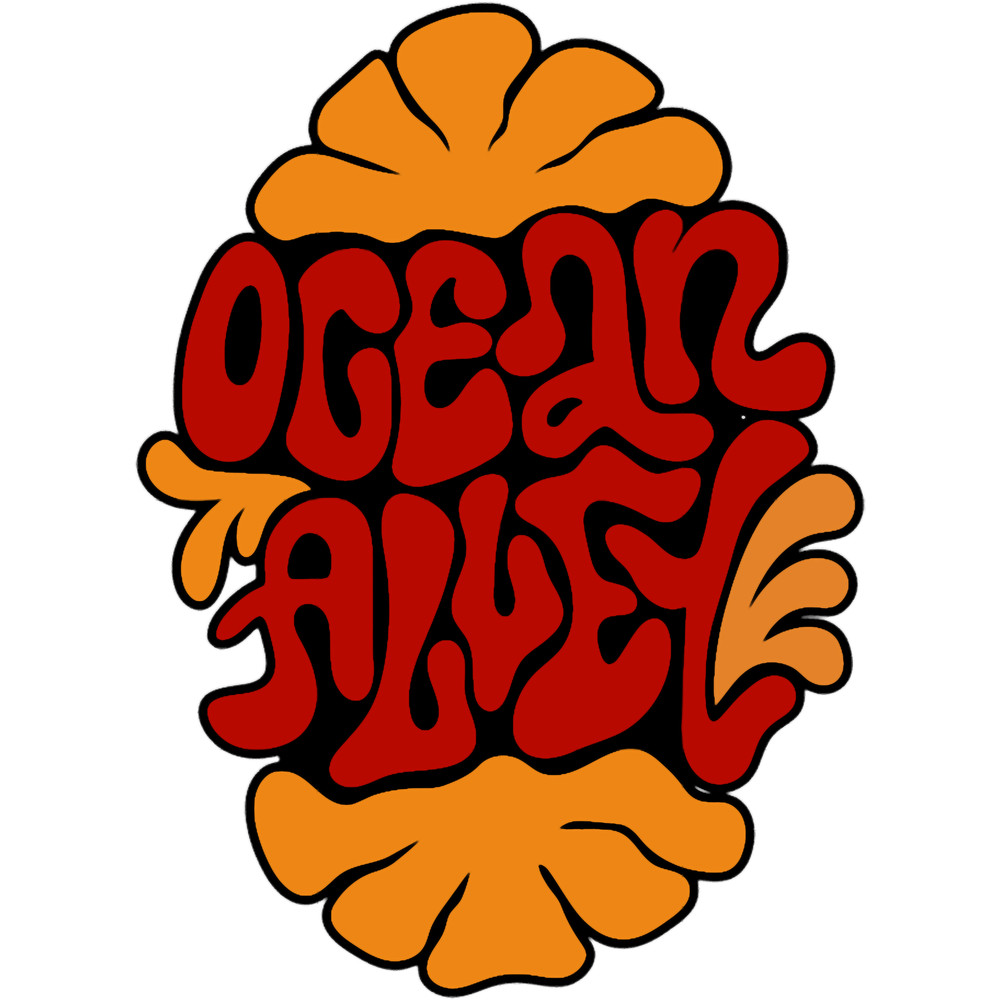 Australian Ocean Indie Pop Rock Alternative Band   .png