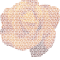 Orange Rose Innerbloom.png