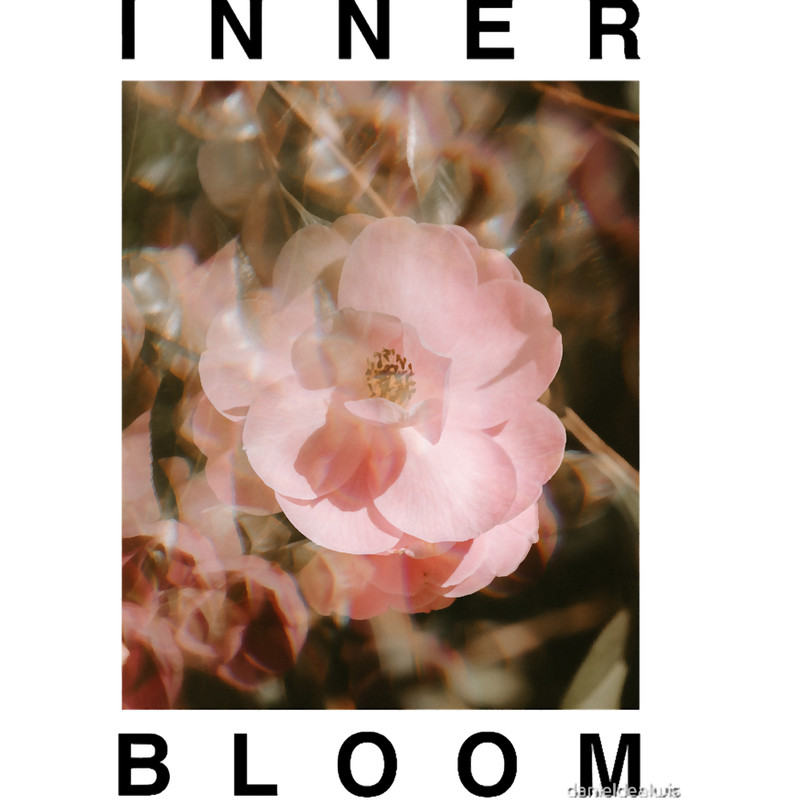 rufus du sol, rufus, music, innerbloom, electronic, edm, kasbo, australian, electronic music (1).png