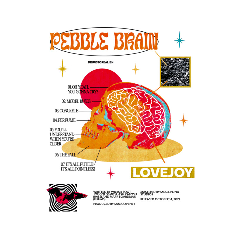 Vintage Pebble Brain - Lovejoy.png