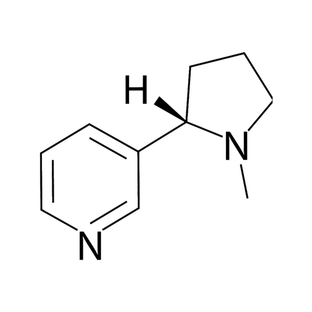 nicotine molecule.png