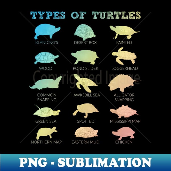 Types Of Turtles Sea Snapping Pond Slider Mud Turtle Lover 1 | Inspire ...