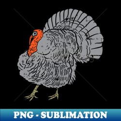 thanksgiving turkey hunting - wild turkey hunting 1