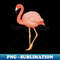 flamingo - Beautiful Sublimation Download