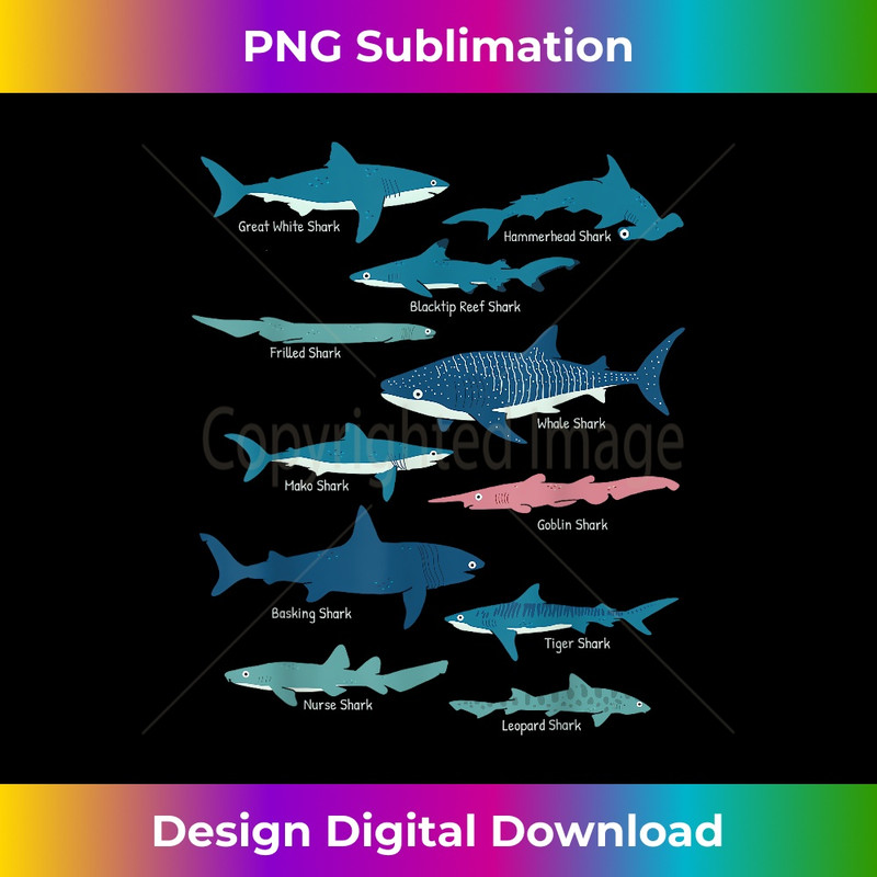 BN-20231201-5372_Types Of Sharks Educational Collection Marine Biologists 5382.jpg