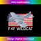IS-20231216-2862_F4F Wildcat American WW2 Plane Diagram USA Flag 0120.jpg