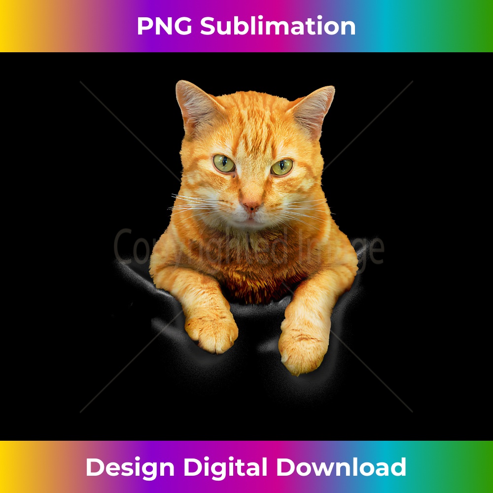 FJ-20231219-2839_Cute Orange Cat , Funny Ginger Cat Style 0262.jpg