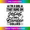 EL-20231219-7431_I'm A Girl That Runs On Jesus And Border Collies - Funny Dog Raglan Baseball Tee 1.jpg