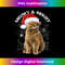 IO-20231219-10634_Meowy and Bright Christmas Cat Funny 2199.jpg