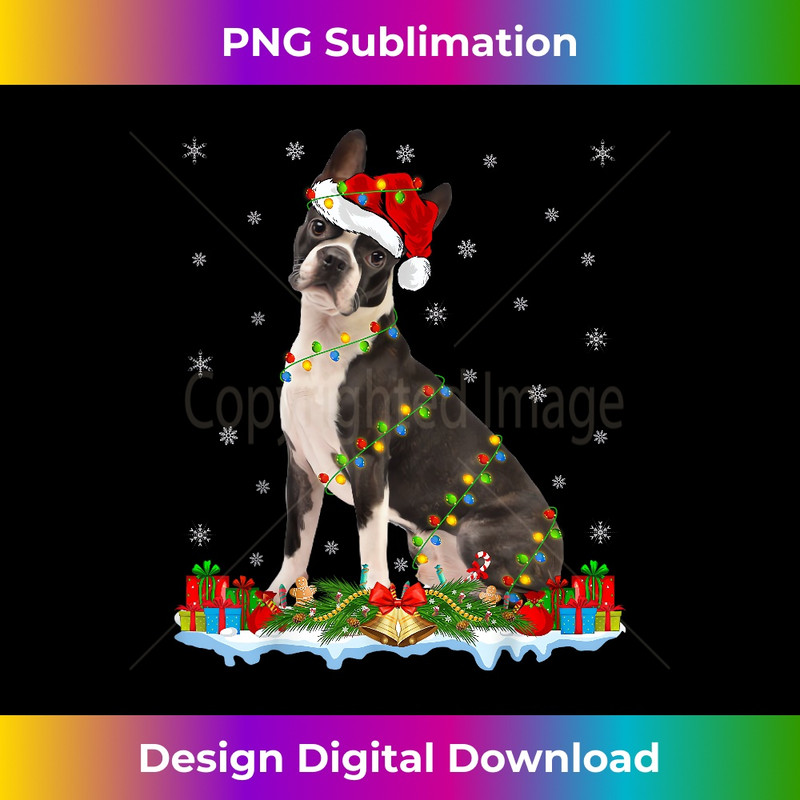 OF-20231219-16896_Xmas Family Matching Santa Hat Boston Terrier Dog Christmas 1223.jpg