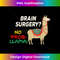 TE-20231219-1127_Brain Surgery Recovery No Prob-Llama Tumor Survivor Warrior 0152.jpg