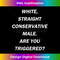 TY-20231219-15907_White Straight Conservative Male. Are You Triggered Design 3190.jpg