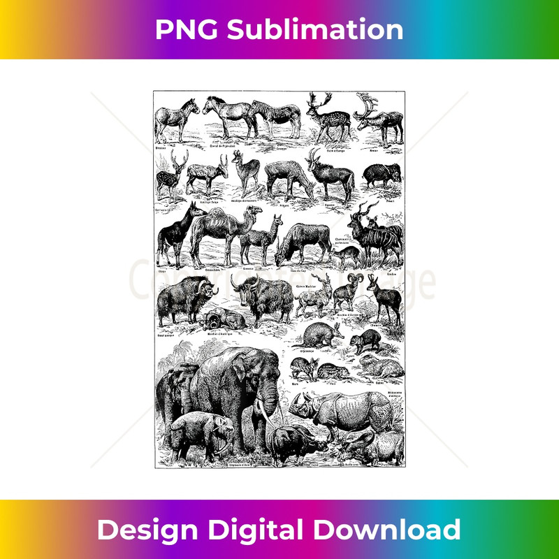 VB-20231219-15954_Wild Animals Identification Chart Zebra Elephant 3204.jpg