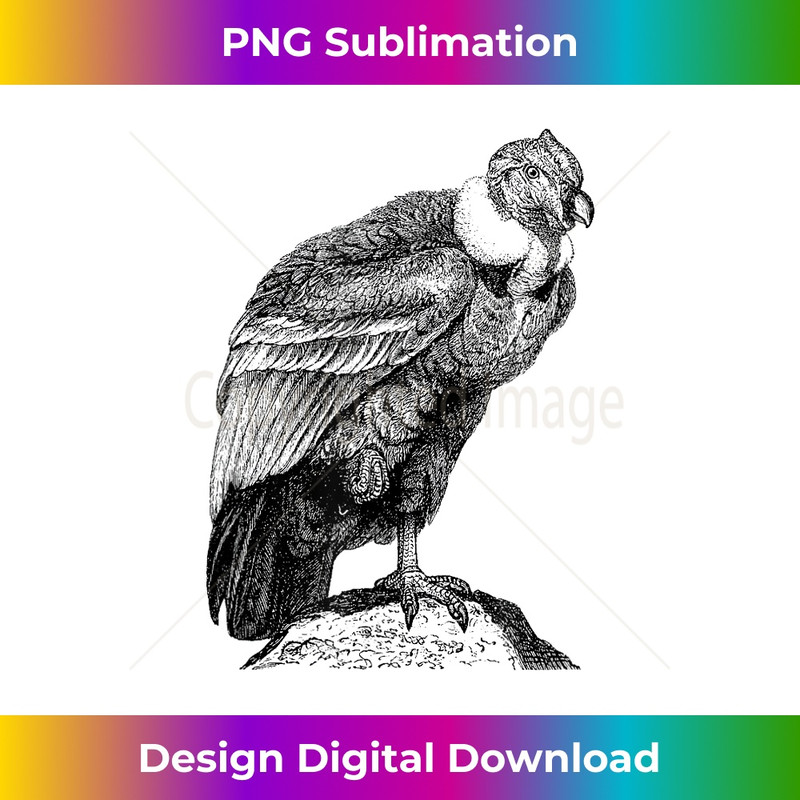 VJ-20231219-1248_California Condor Bird Print 0131.jpg