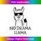 WD-20231219-16276_Womens Funny Llama, No Drama Llama V-Neck 1508.jpg