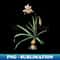 Vintage Amaryllis Broussonetii Botanical Illustration - Decorative Sublimation PNG File