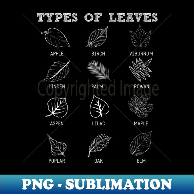 Environmental Forest Types Of Leaves Nature Outdoor Lover - High-Resolution PNG Sublimation File