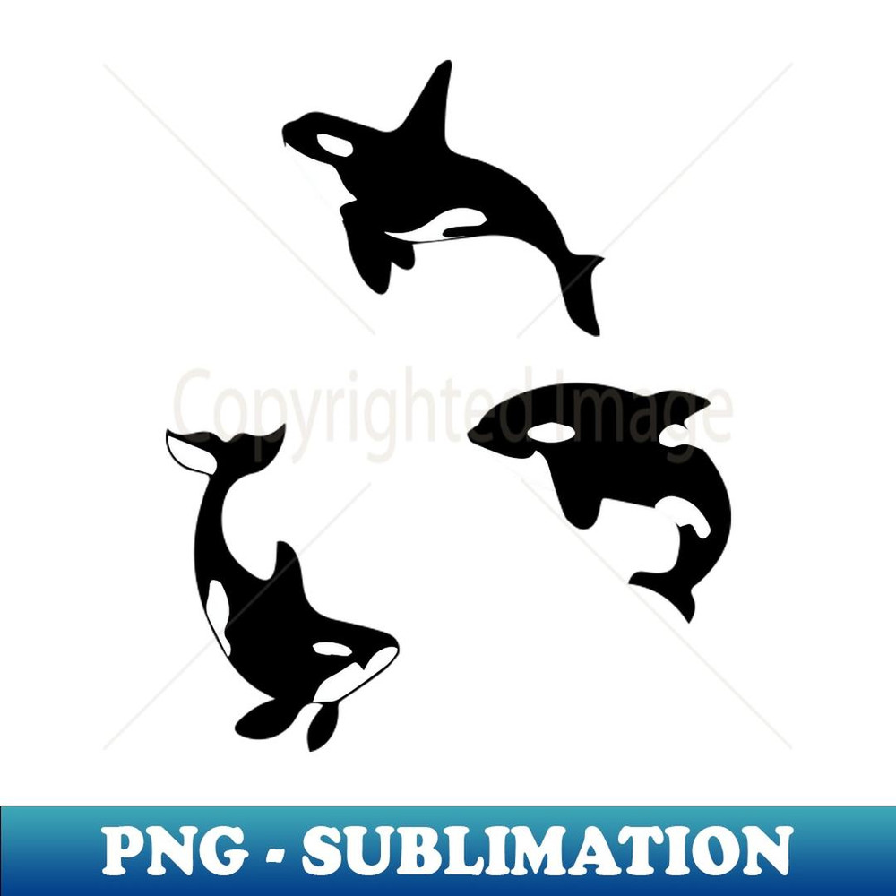 Three Orca Killer Whales Funny - Sublimation-Ready PNG File