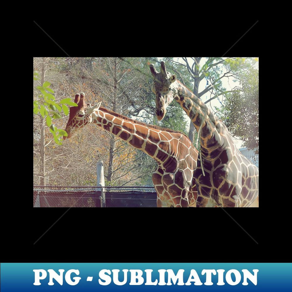 Giraffe - Modern Sublimation PNG File