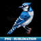 16-Bit Blue Jay - Stylish Sublimation Digital Download