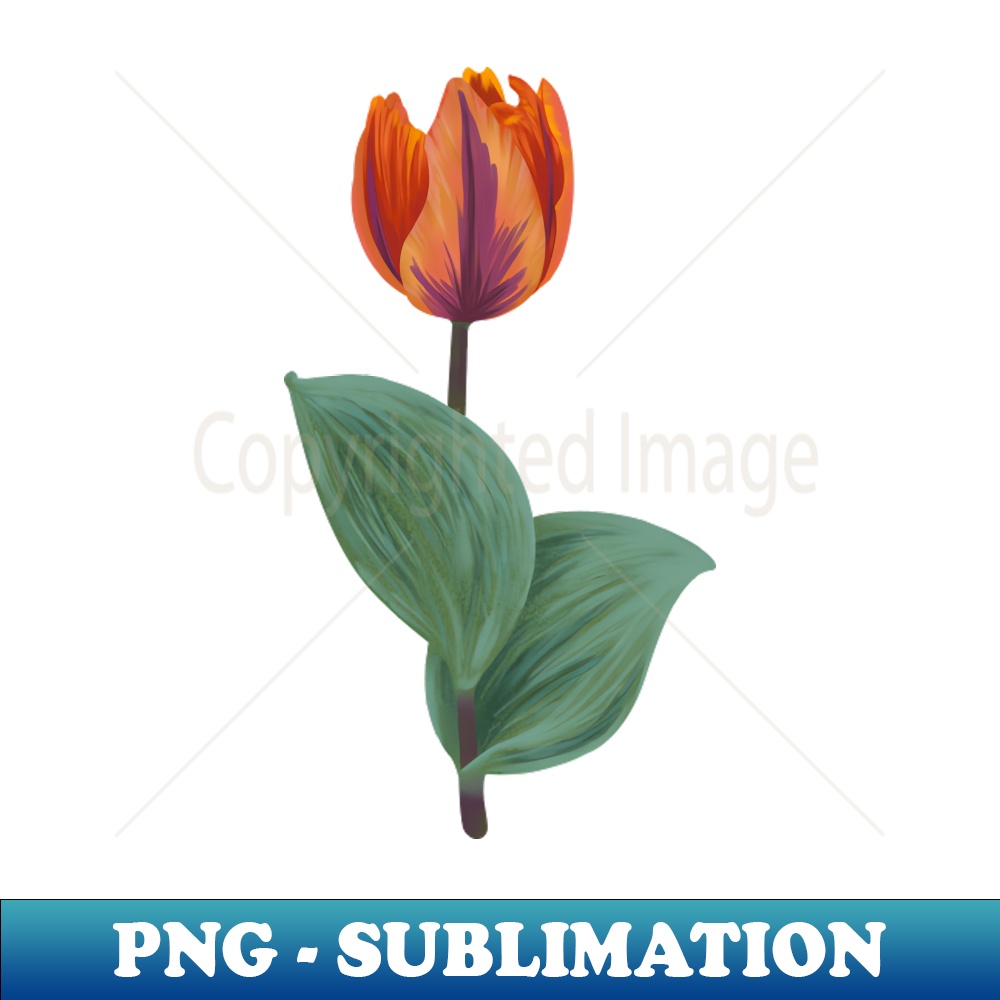 Tulip - Signature Sublimation PNG File