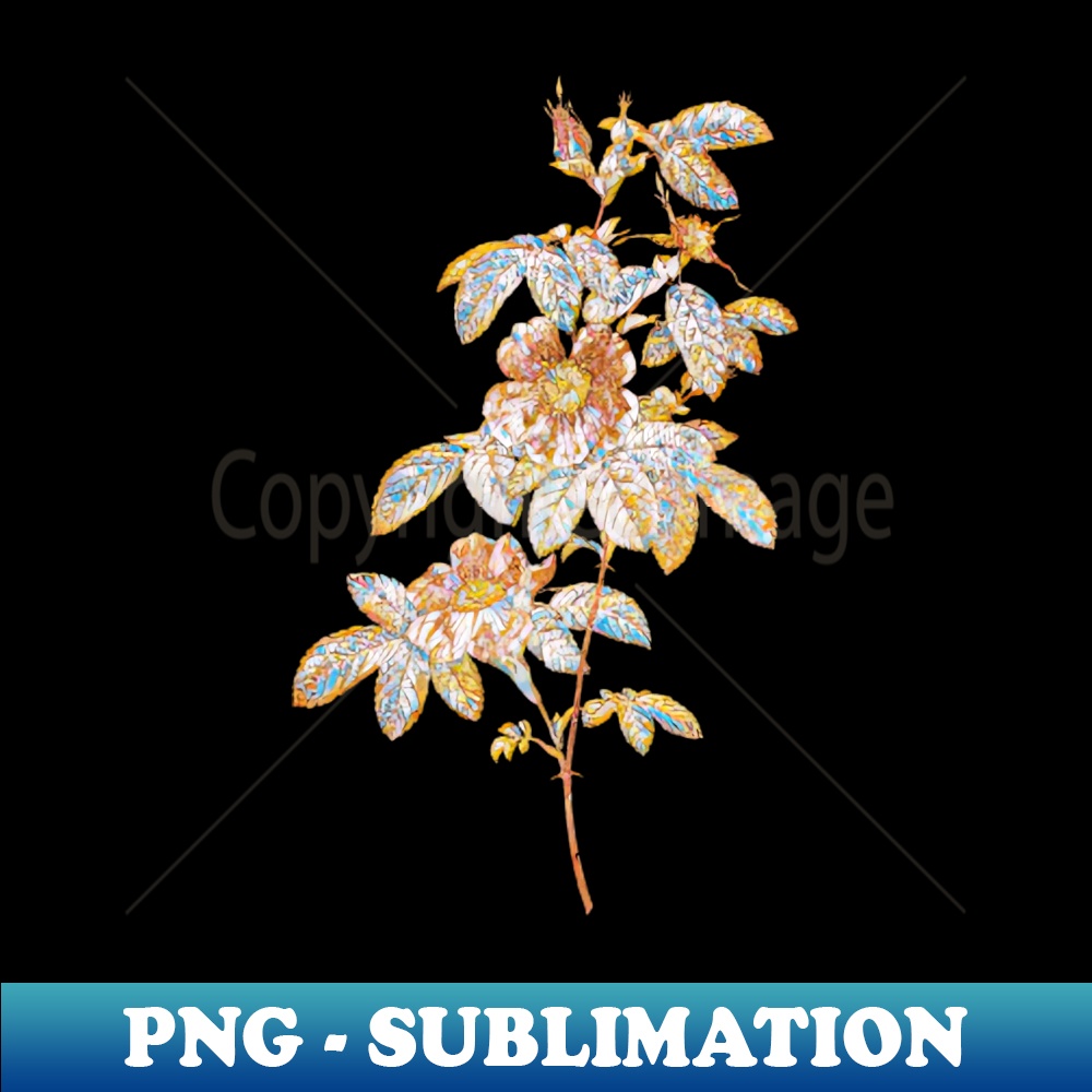 Gold Prism Mosaic Blooming Single May Rose Botanical Illustration - Sublimation-Ready PNG File