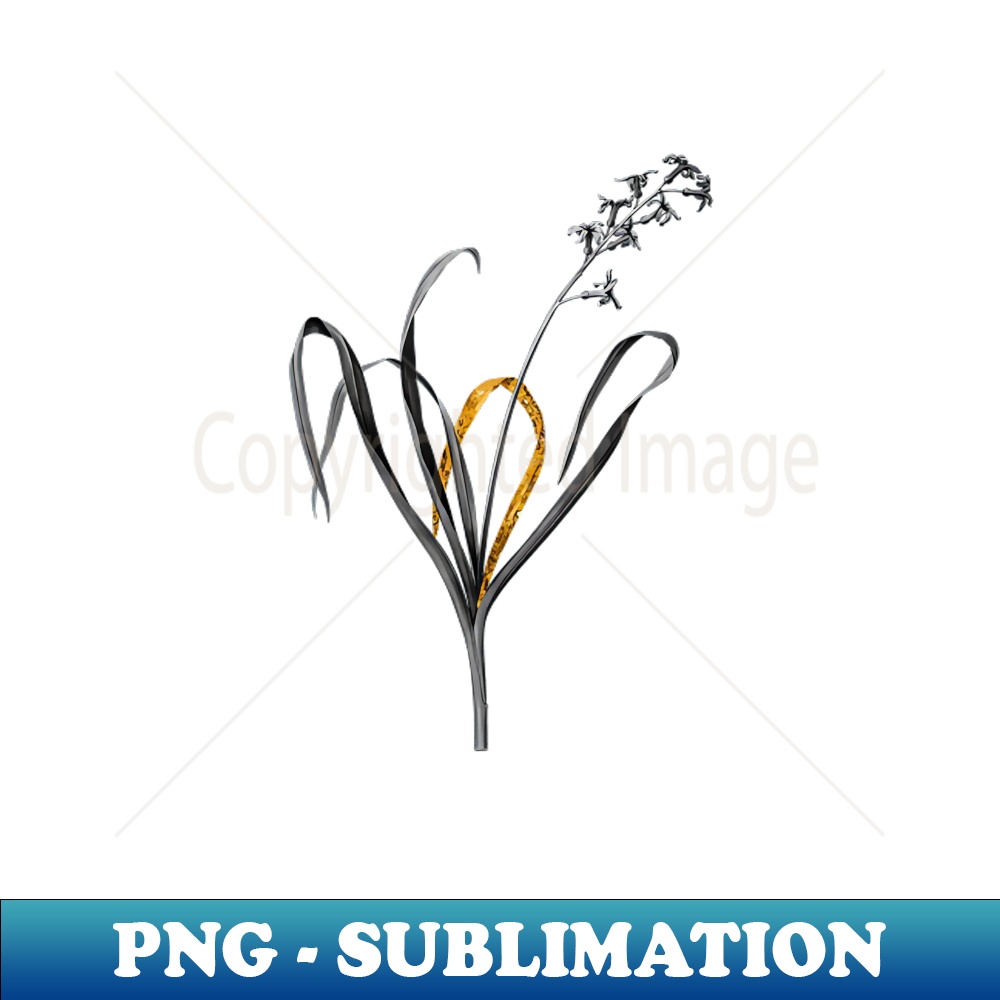 Black and Gold Leaf - Dutch Hyacinth - Vintage Botanical - PNG Sublimation Digital Download