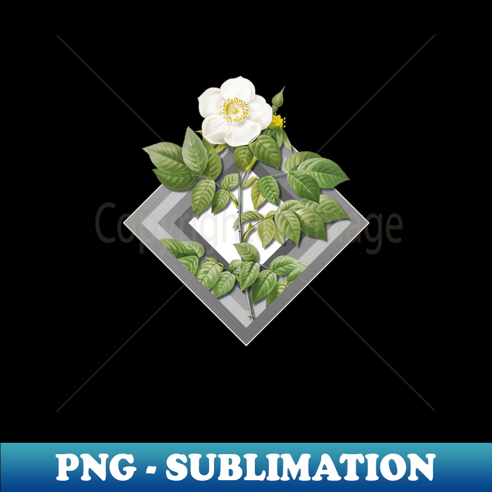 Vintage Floral Leschenault's Rose Botanical on Paper Geometric Shield - PNG Transparent Digital Download File for Sublimation