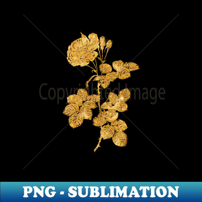 Vintage Gilded Blooming Damask Rose Botanical Gold Leaf - Vintage Sublimation PNG Download